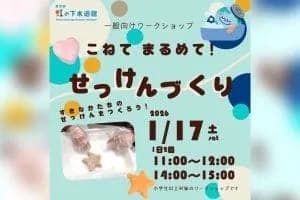 一般向け工作ワークショップ「こねて まるめて!せっけんづくり」<東京都虹の下水道館>