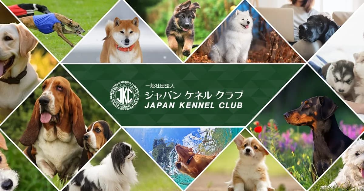JKCサクラ・アニュアル・ショー2026